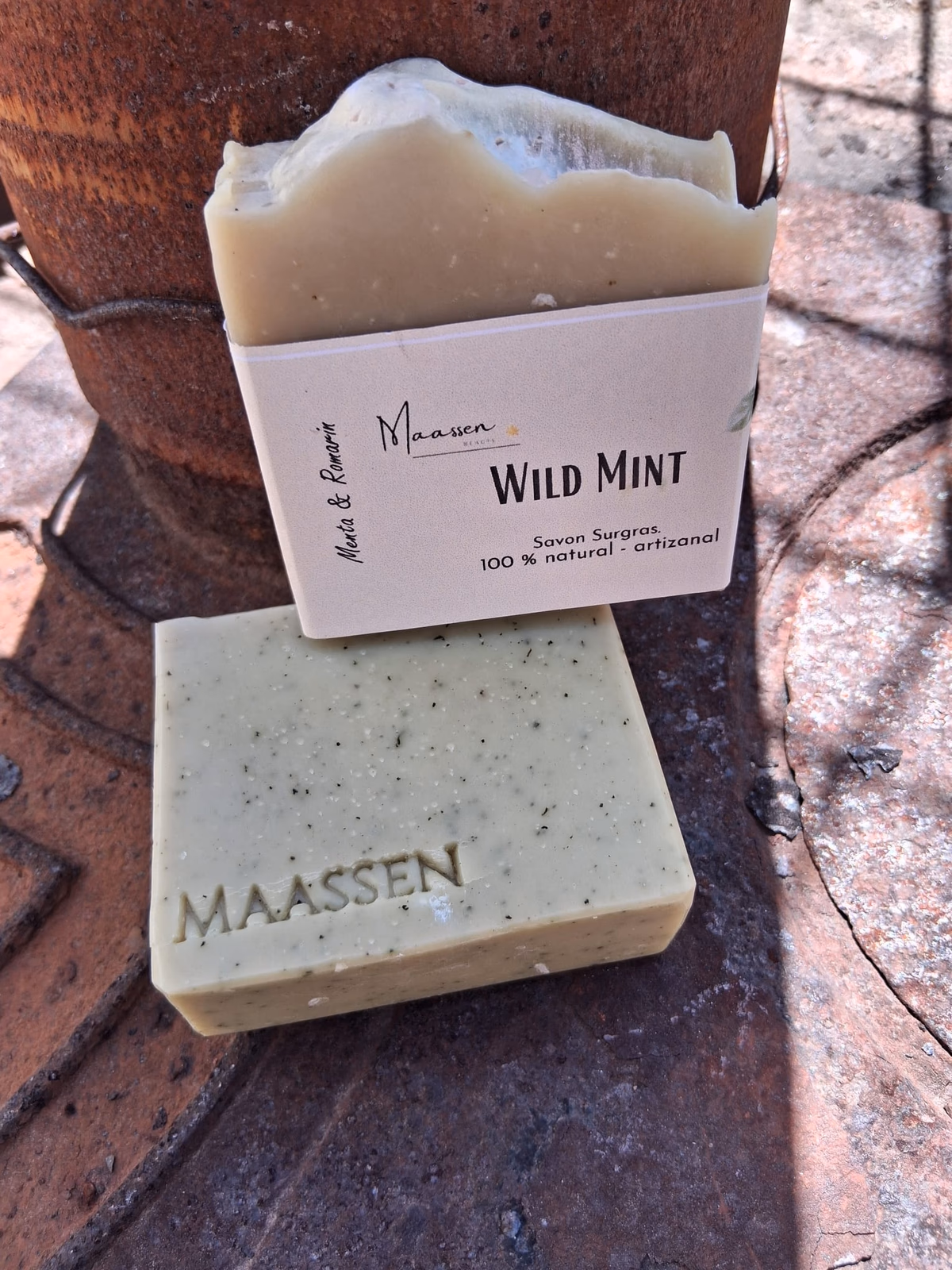 Wild Mint